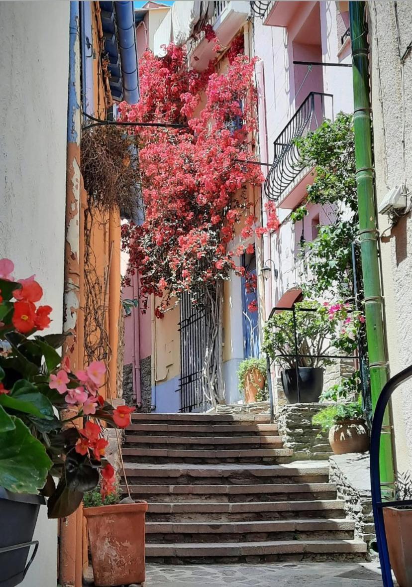 Studio Collioure Mouret 외부 사진